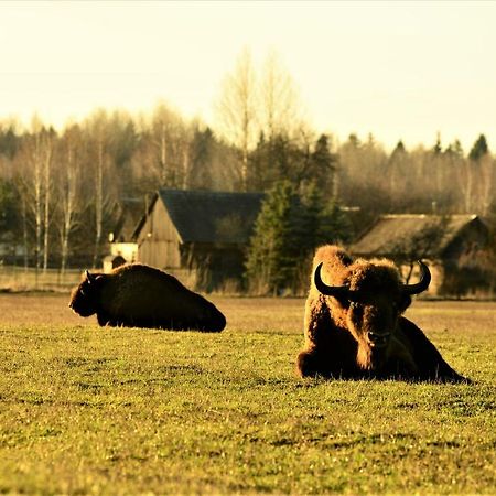 Bialowieski Dworek Do 10 Gosci Białowieża Dış mekan fotoğraf